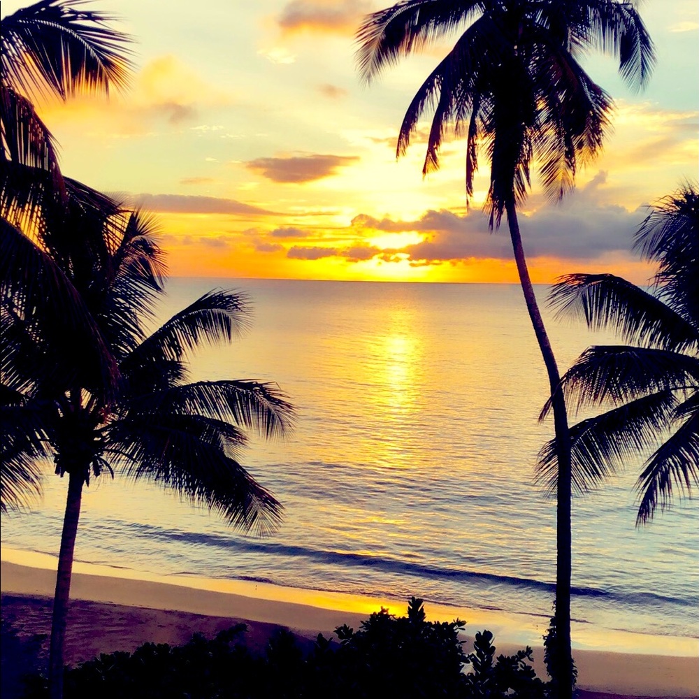 Meet your Posher, Sian